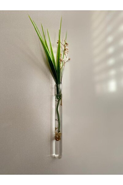 Success Decoration Mıknatıslı Dekoratif Cam Vazo Bitki Köklendirme Için Minim...