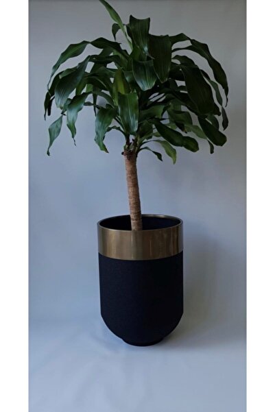 Genel Markalar Metal Darbuka Saksı Gold Eskitme 50 Cm Yükseklik