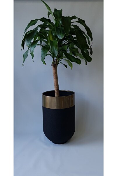 Genel Markalar Metal Darbuka Saksı 60 Cm Yükseklik Gold Eskitme