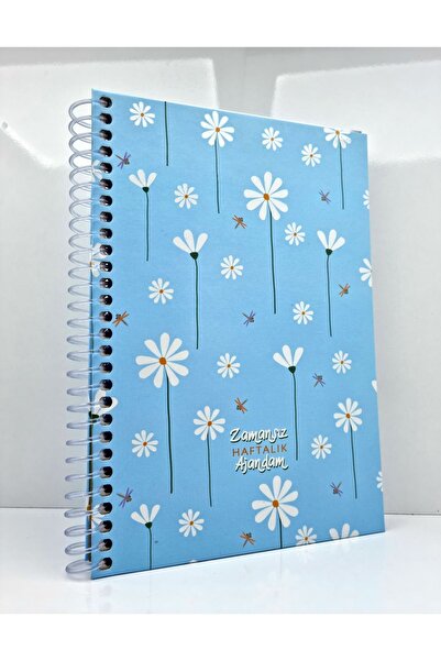 Bam zamansız haftalık  planlayıcı , tarihsiz ajanda , süresiz ajanda , sticke...