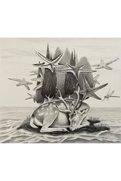 Şahin Çetin - Sessizlik Adası 1 - 2023 - 400 gr kağıt üzerine rapido kalem - 35x40 cm
