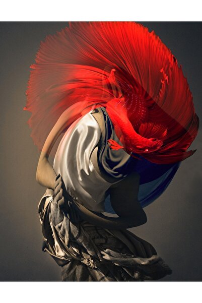 Büşra Kemik Manip, 30x39, Fineart Print