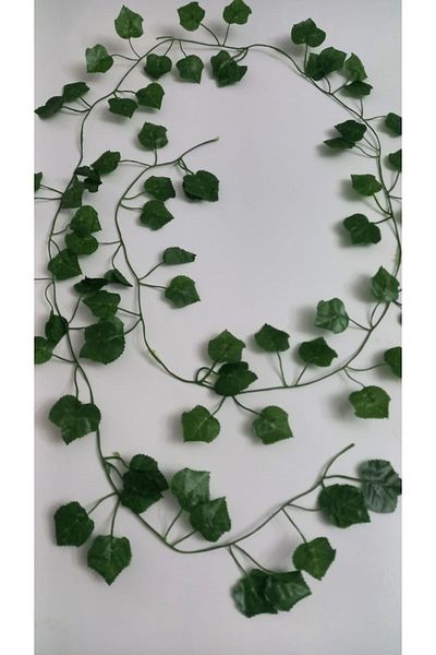 asöy Mold Green Balloon Chain Balloon Set