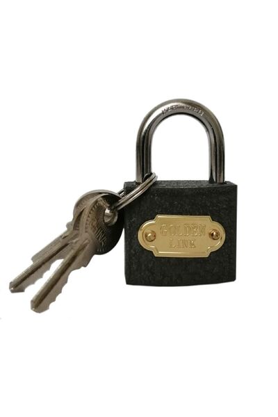 GOLDEN LINK Gray Casting Padlock 32 Mm + 3 Spare Keys
