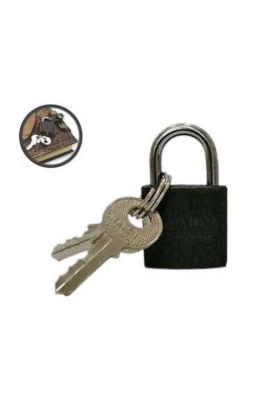 GOLDEN LINK Memory Book Lock Mini Padlock 20 Mm + 2 Spare Keys