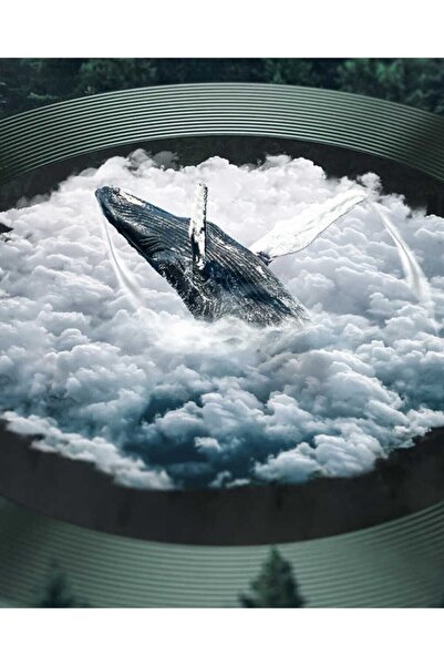 zore Iphone 12 Pro Uyumlu Kamera Lens Koruyucu Cl-02