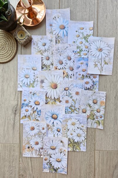 Mona Craftist 15 Adet Eskitme Vintage Papatya Temalı Scrapbook Kağıt Seti Bul...