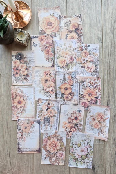 Mona Craftist مجموعة من 15 ورقة سكرابوك بتصميم وردة برتقالية عتيقة - مجلة رصاصة