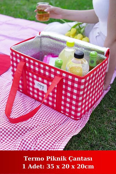 Ecolux Red Thermal Picnic Bag - Insulated, Gingham Handle, 35x20x20cm Cold Carry Bag