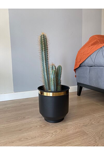 Özge Dekorasyon أصيص زهور دربوكة مقاس 26 × 24 سم - مزهرية ذهبية مزخرفة