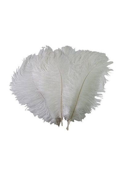 CAN White Ostrich Feather Vase Decorative - (30 Cm-35 cm)