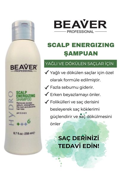 Beaver Beaver Scalp Energizing Shampoo 258ml |   Ginseng Ginger Angelica Effect for Oily and Falling Hair