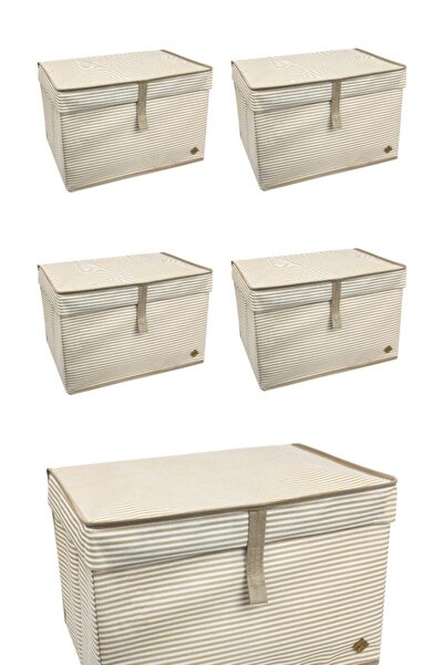 ALAS 5 Adet - Kapaklı Çok Amaçlı ( Çamaşır-saklama-düzenleme Vb.) Hurç, Kutu Mini 40x30x26 - Kahverengi