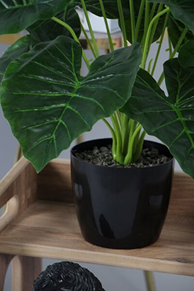 Yapay Çiçek Deposu Yapay Difenbahya Ağacı 18 Yapraklı Siyah Saksıda 80 cm Koyu Yeşil