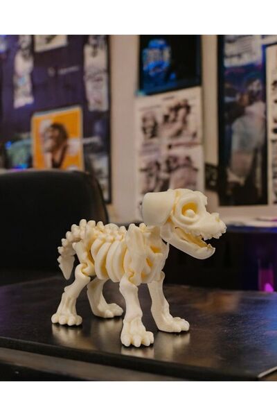 Genel Markalar İskelet Koleksiyonu - Oynar Eklemli İskelet Köpek Biblo