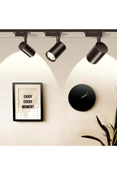 ZMR 4 Adet Ray Spot 30 Watt Siyah Kasa Beyaz Işık 1 Metre Ray Dahil Fiyatıdır