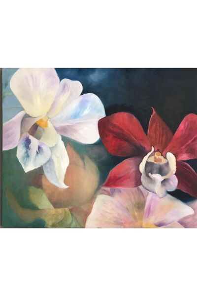 artoloji Dilek Doğansel - Orkide - 2015 - Tuval Üzerine Yağlıboya - 50x73 Cm