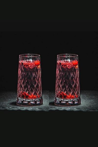 Paşabahçe Leafy 2-Piece Glass Long Drink Cocktail Soft Drink Glass 450cc