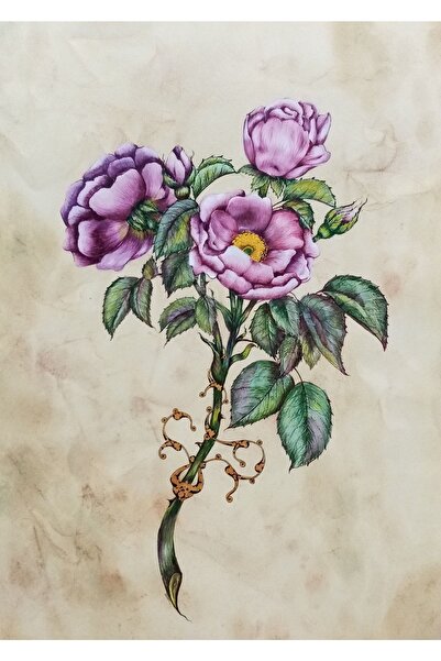 artoloji Ilksen Biçer - Sandık Lekesi - 2021 - Kağıt Üzeri Karışık Teknik - 29.5x21 Cm
