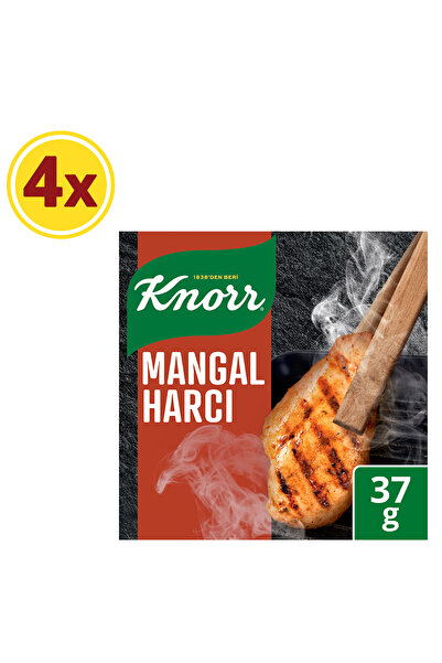 Knorr Mangal Harcı 37g X4 Adet