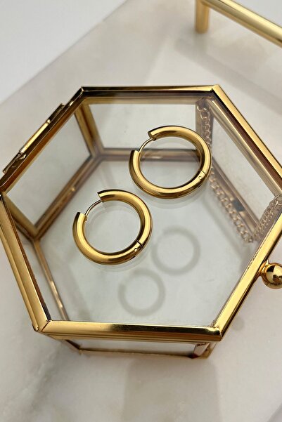 Modex Steel Gold Color Hoop Earrings (2cm)