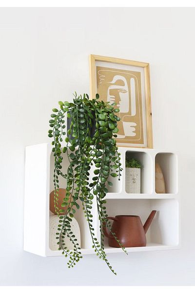 HOMİNG Homing Dangling Green Plant Μεγάλο Μέγεθος 241589