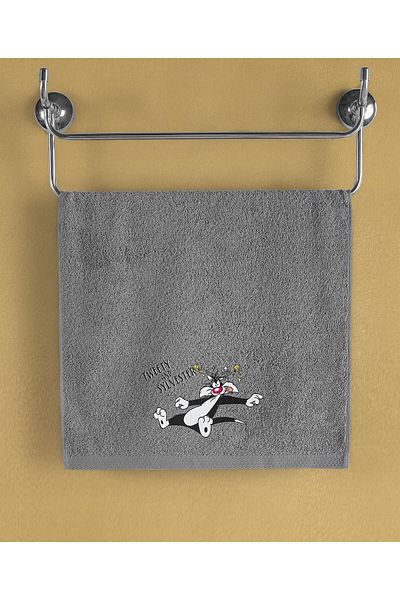 Warner Bros 50x90cm Face Towel