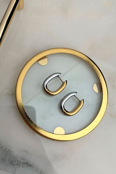 Modex Steel Two-Color Oval Earrings (2cm)