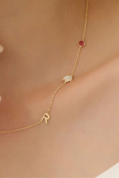 Nox Jewelry 925 Ayar Gümüş Taşlı Uğur Böceği Harf Kolye