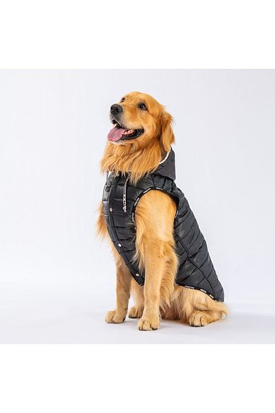 Pawstar Black Railway - Anorak Vest, Dog Vest, Dog Apparel and Dog Raincoat for Medium and Large Breeds