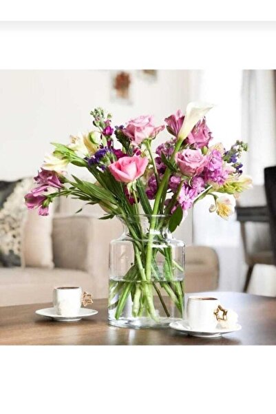 P H Panayır Home Pampas Cam Vazo Cam Saksı Cam Çiçeklik