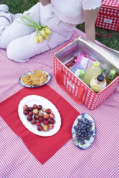 Ecolux Red Thermal Picnic Bag - Insulated, Gingham Handle, 35x20x20cm Cold Carry Bag