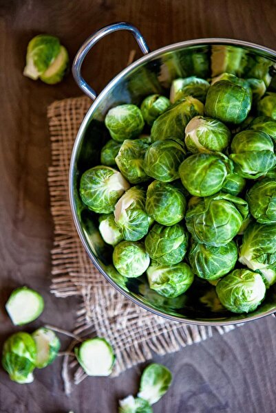 ZENGARDEN EV VE BAHÇE Erkenci Brüksel Lahanası Tohumu Bahçe Tipi Brussel Sprouts Long Island Improved