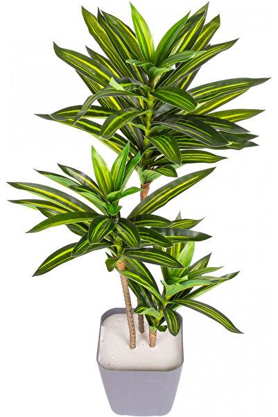 Herdekora Yapay Dracena Gerçek Dokulu 72 Cm.