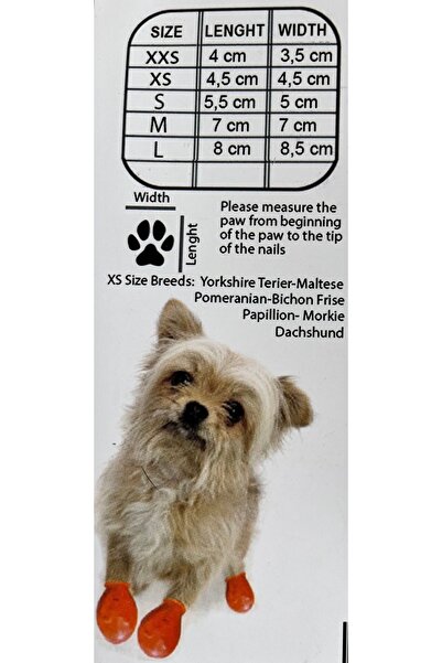 Alphadog Walkies Köpek Ayakkabısı Galoş Patik