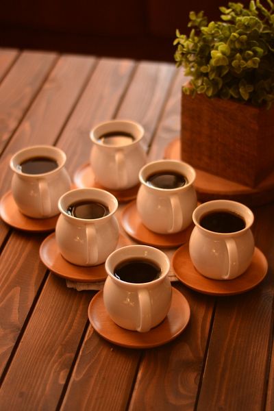 Bambum Torby Porcelain Tea Cup Set for 6 People