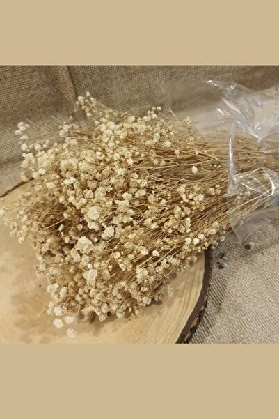 Görke Tasarım كريم التجميد Cipso Bunch ذو الجودة الأولى، تجميد الزهور المجففة...