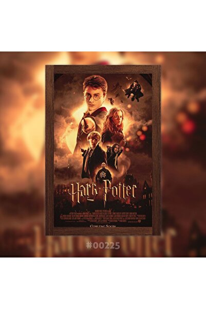 Plexit Harry Potter Baskılı Ahşap Tablo