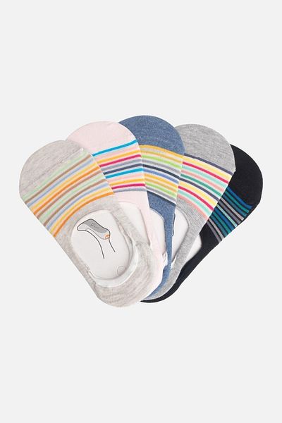 Aytuğ Women's Cotton 5 Pairs Special Boxed Ballerina Socks