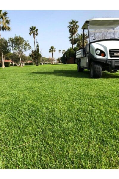 ÇİMKA İngiliz Çimi (lolium Perenne) 1 kg Çim Tohumu