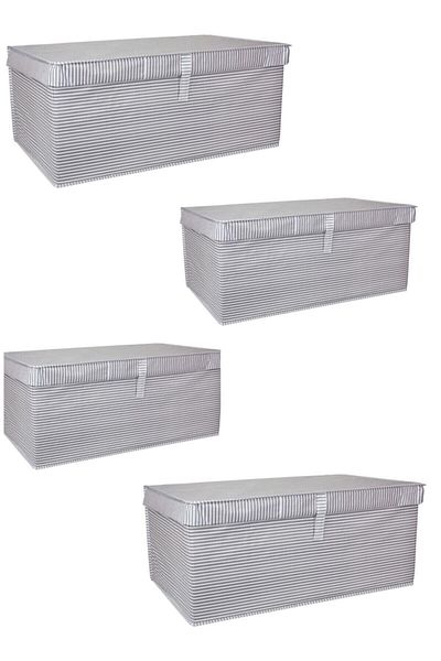 ALAS Multi-Purpose Baggage Box Mega Plus Gray Striped Pack of 4