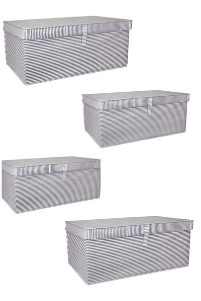 ALAS Multi-Purpose Baggage Box Mega Plus Gray Striped Pack of 4