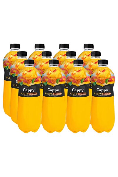 Cappy ŞEFTALİ 1 LT 12 ADET