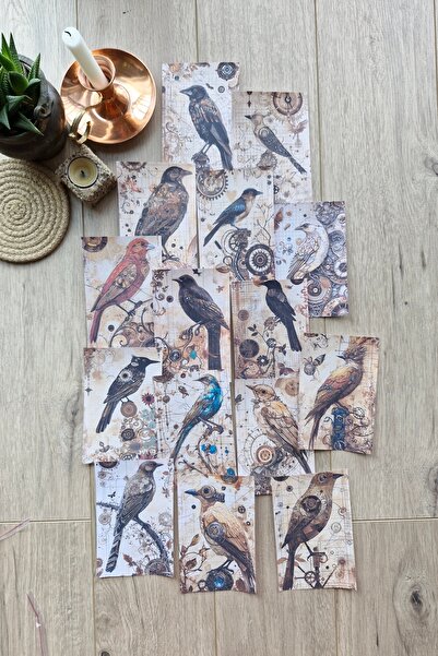 Mona Craftist 15 Adet Eskitme Vintage Karga Temalı Scrapbook Kağıt Seti Bulle...