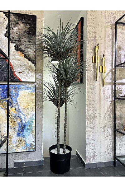 Ornamenti Design Yapay Mega Yucca Ağacı Gerçek Dokulu 220 Cm