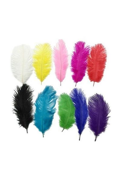 CAN White Ostrich Feather Vase Decorative - (30 Cm-35 cm)