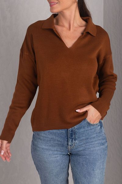 armonika Women's Brown Polo Neck Knitwear Sweater ARM-24K012006