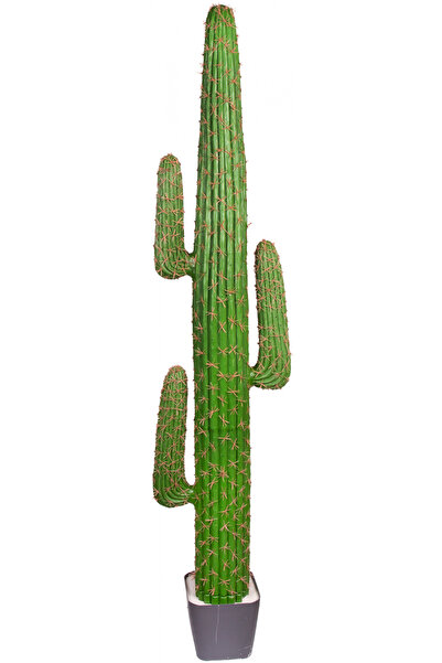 Herdekora Yapay Kaktüs Saksılı 175 Cm.