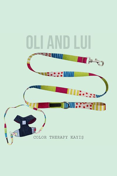 Oli and Lui Color Therapii Dog Walking Strap