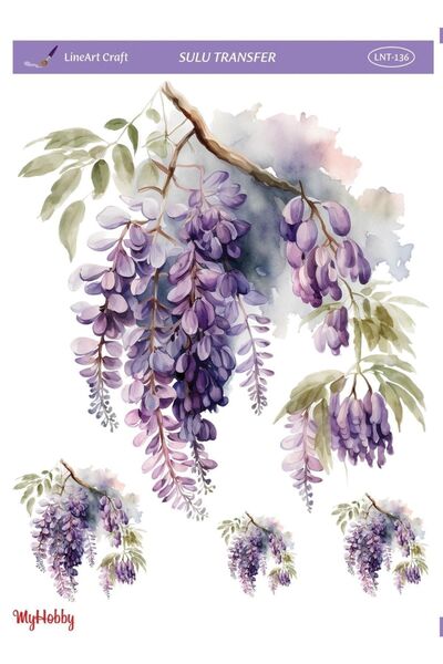LİNEART Lineart Sulu Transfer LNT136 25x35cm